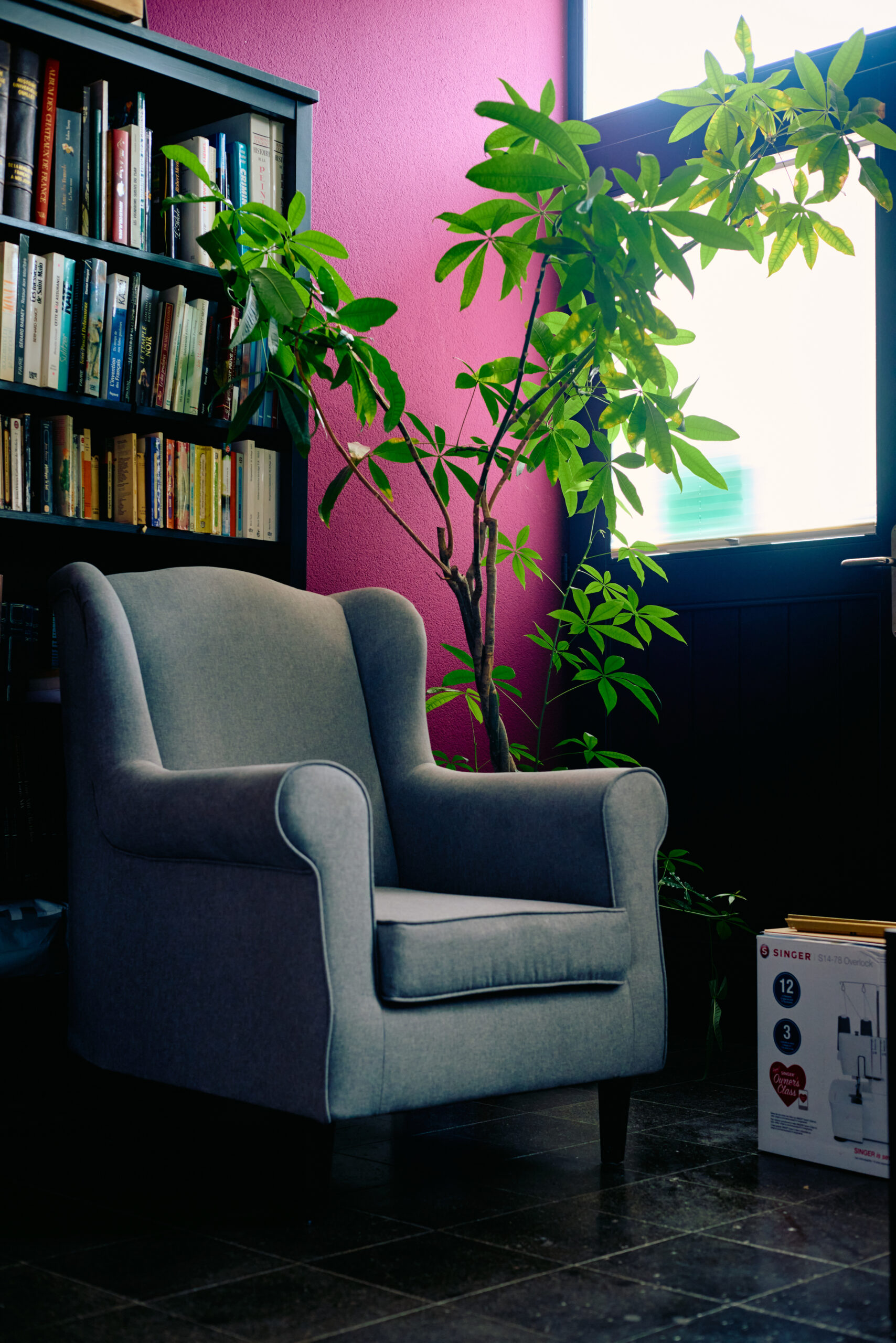 A propos - intercessio mediation - sébastien pedroli